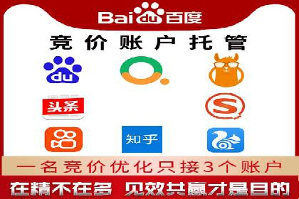 行业头部企业的网站sem托管经验分享